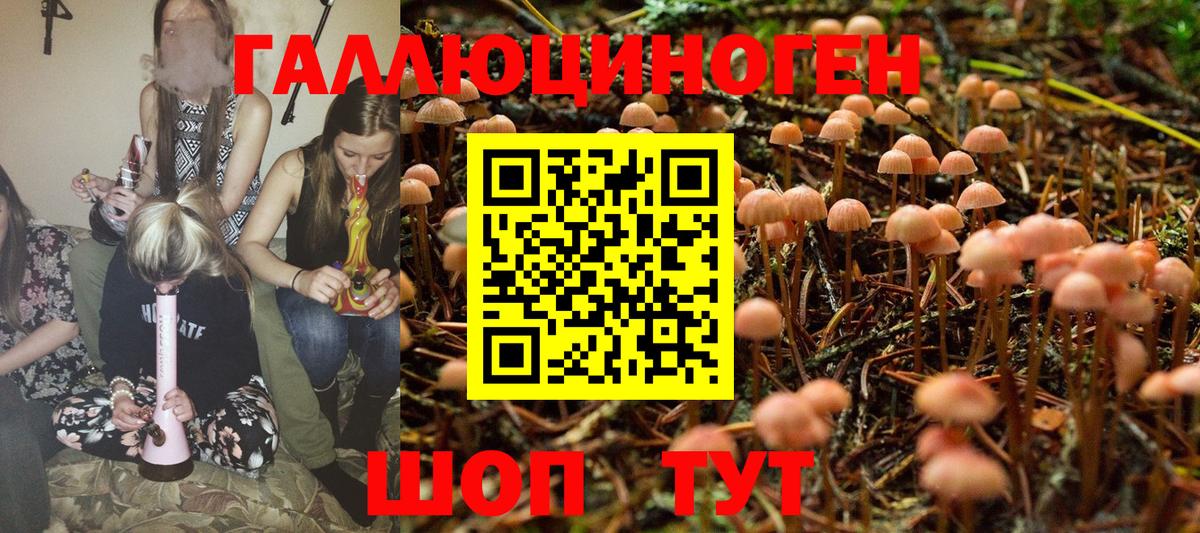 Псилоцибиновые грибы Magic Shrooms Белебей