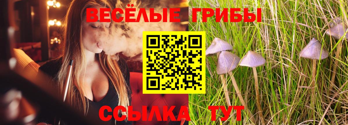Псилоцибиновые грибы ЛСД  продажа наркотиков  Вход с VPN  Белебей  Галлюциногенные грибы мухоморы 